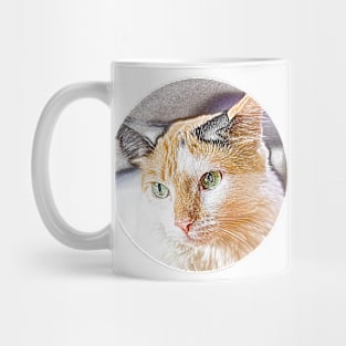 all cats are beautiful Mug